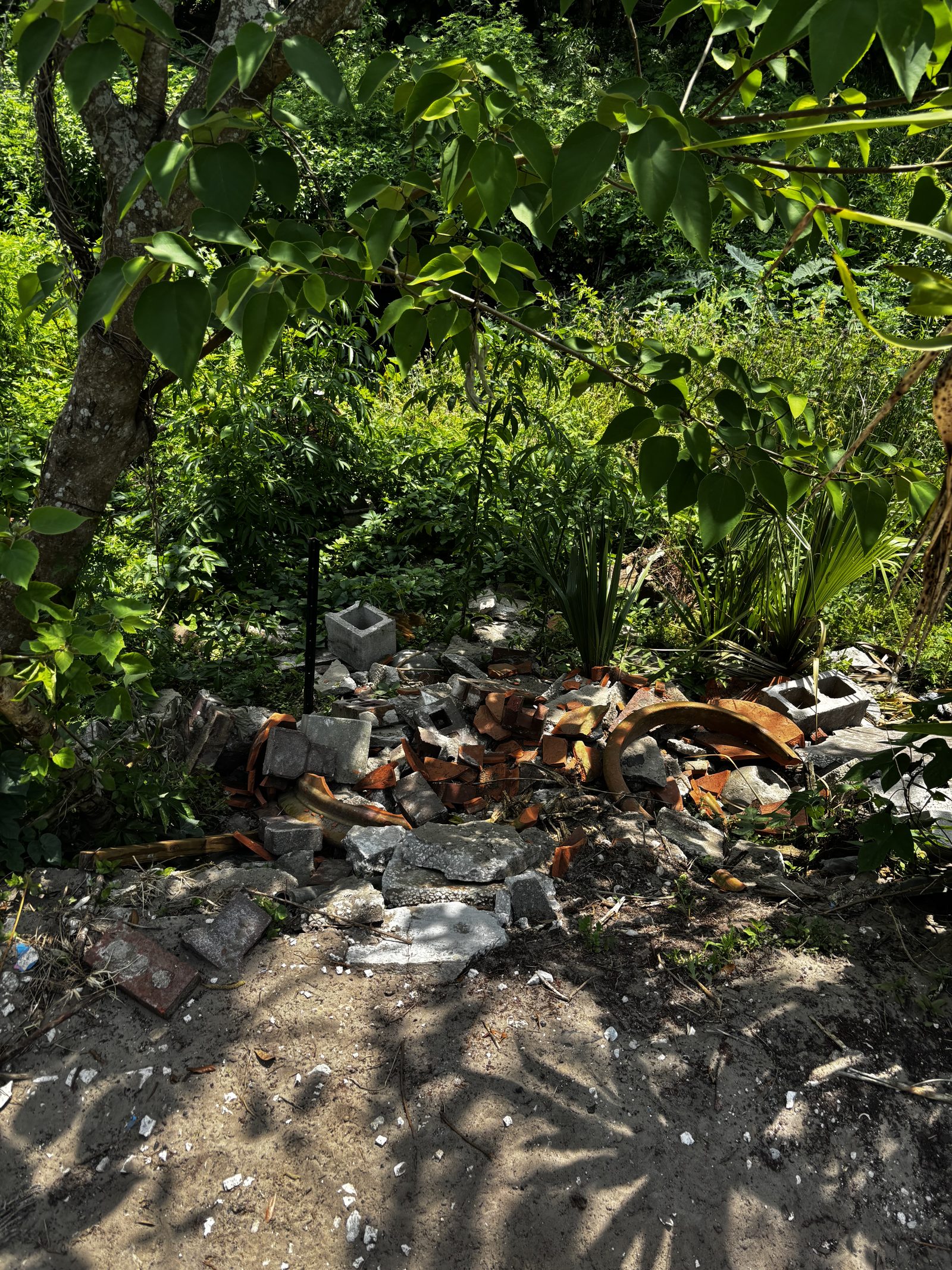 Brick rubble pile in wooded area