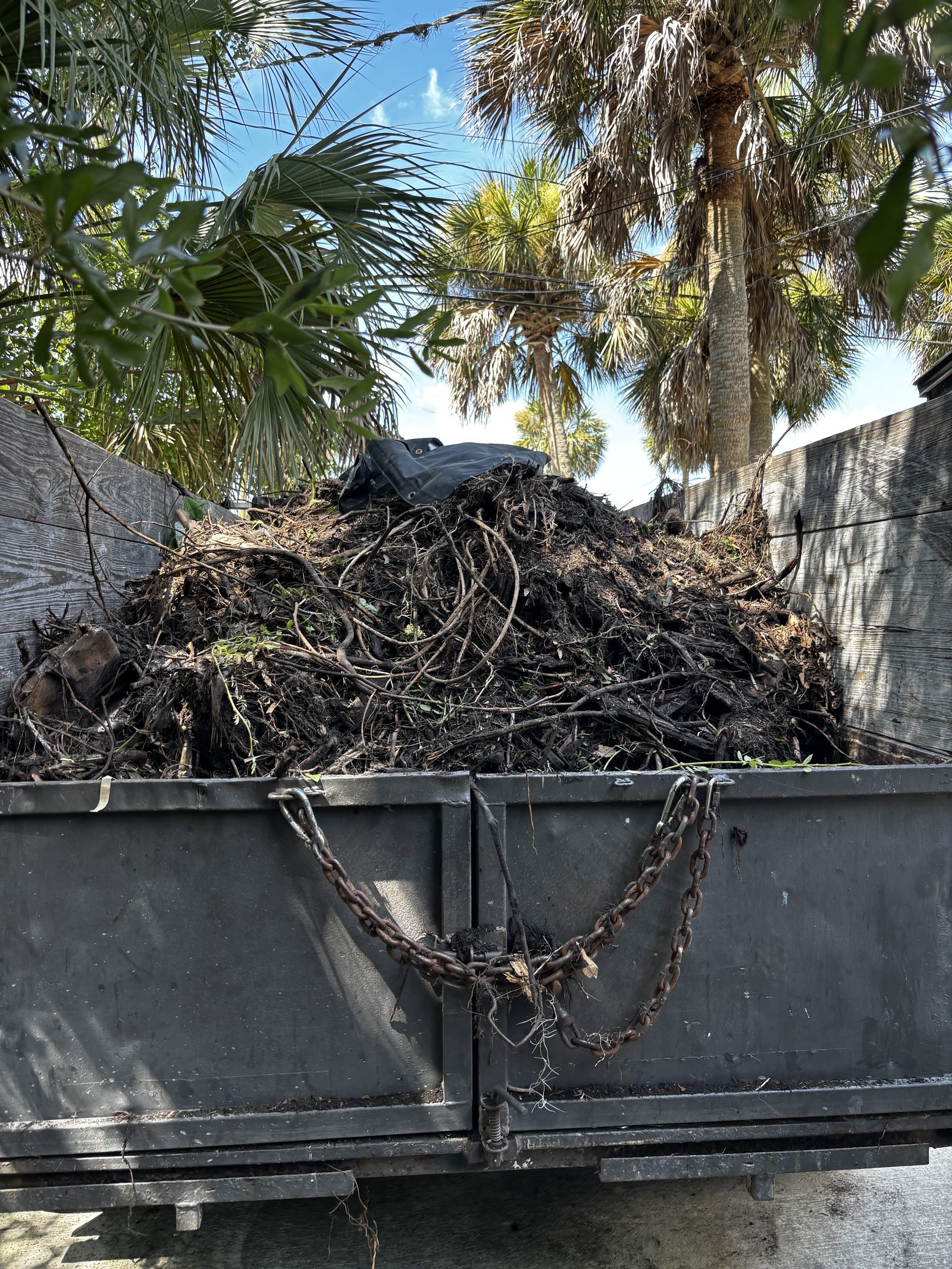 Trailer loaded with yard debris