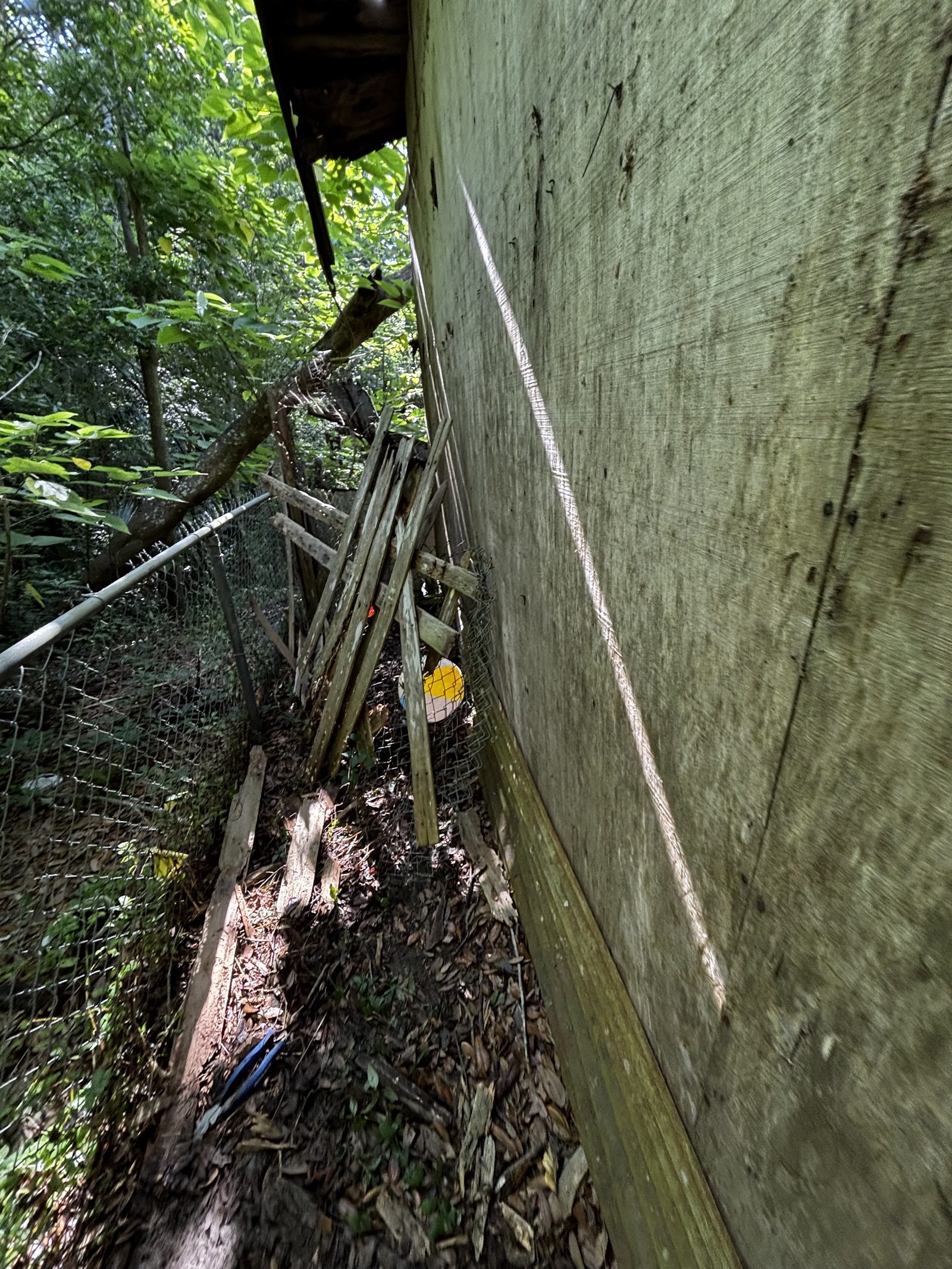 Fence and wood scrap debris
