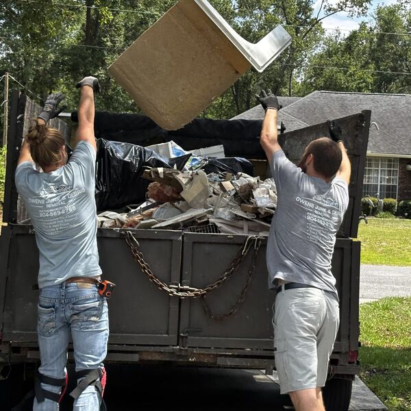 Junk removal versus dumpster rental