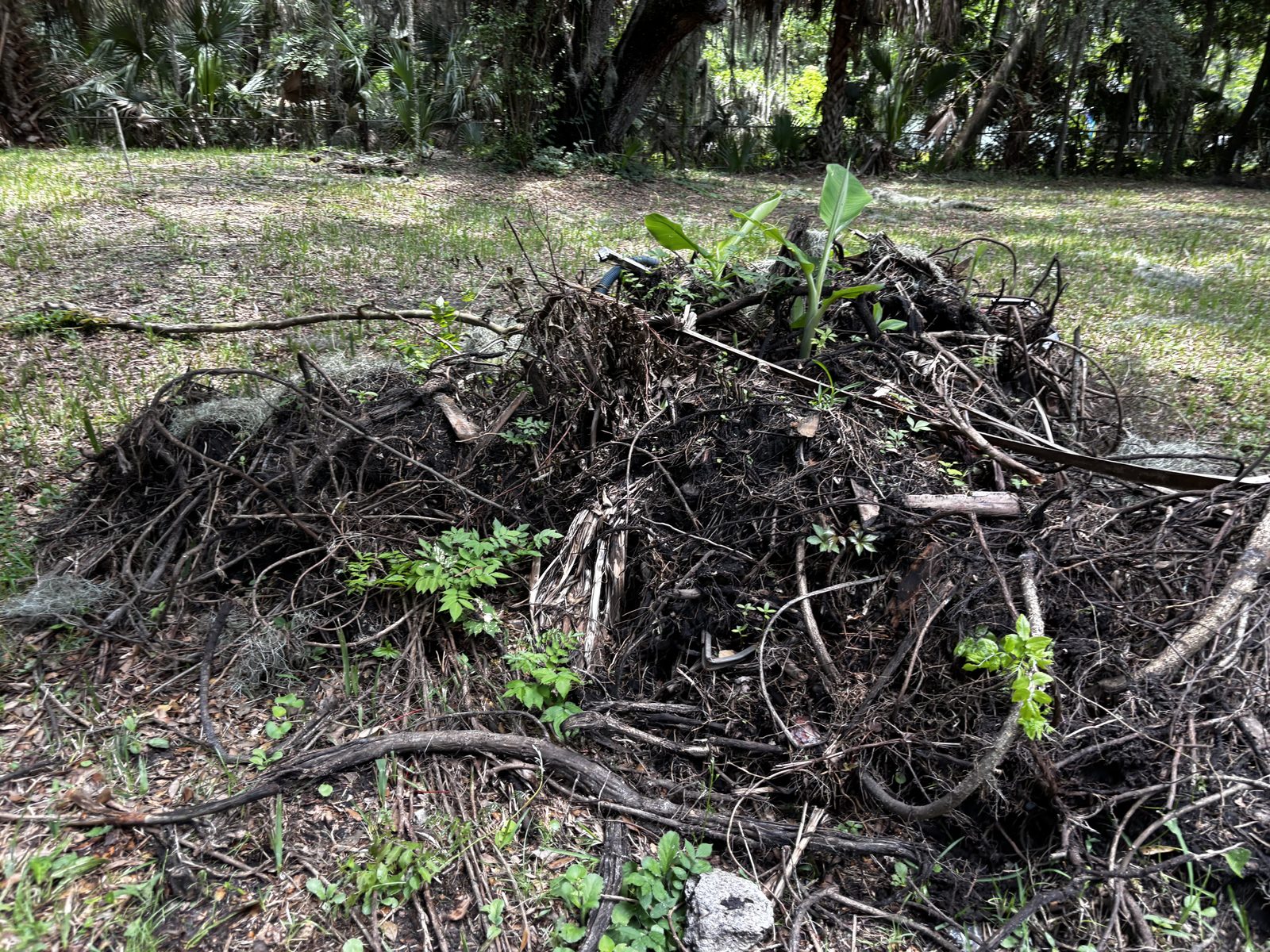 Tree & Yard Debris