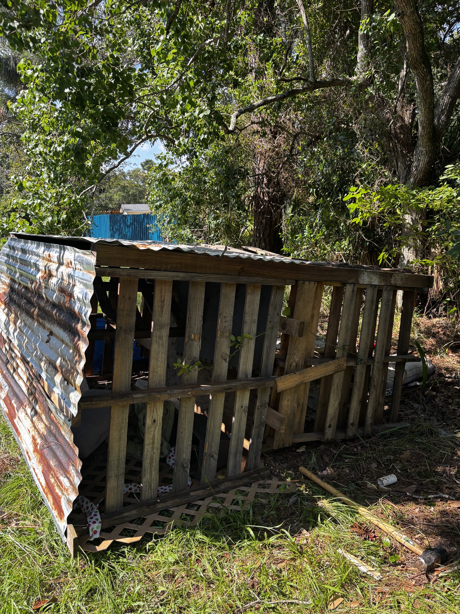 Collapsed shed and yard debris removal